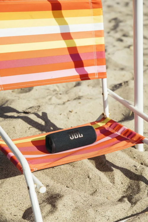 Parlante JBL FLIP 6 🎸